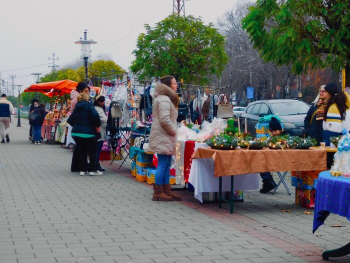 Prvi novogodisnji bazar u Crvenki